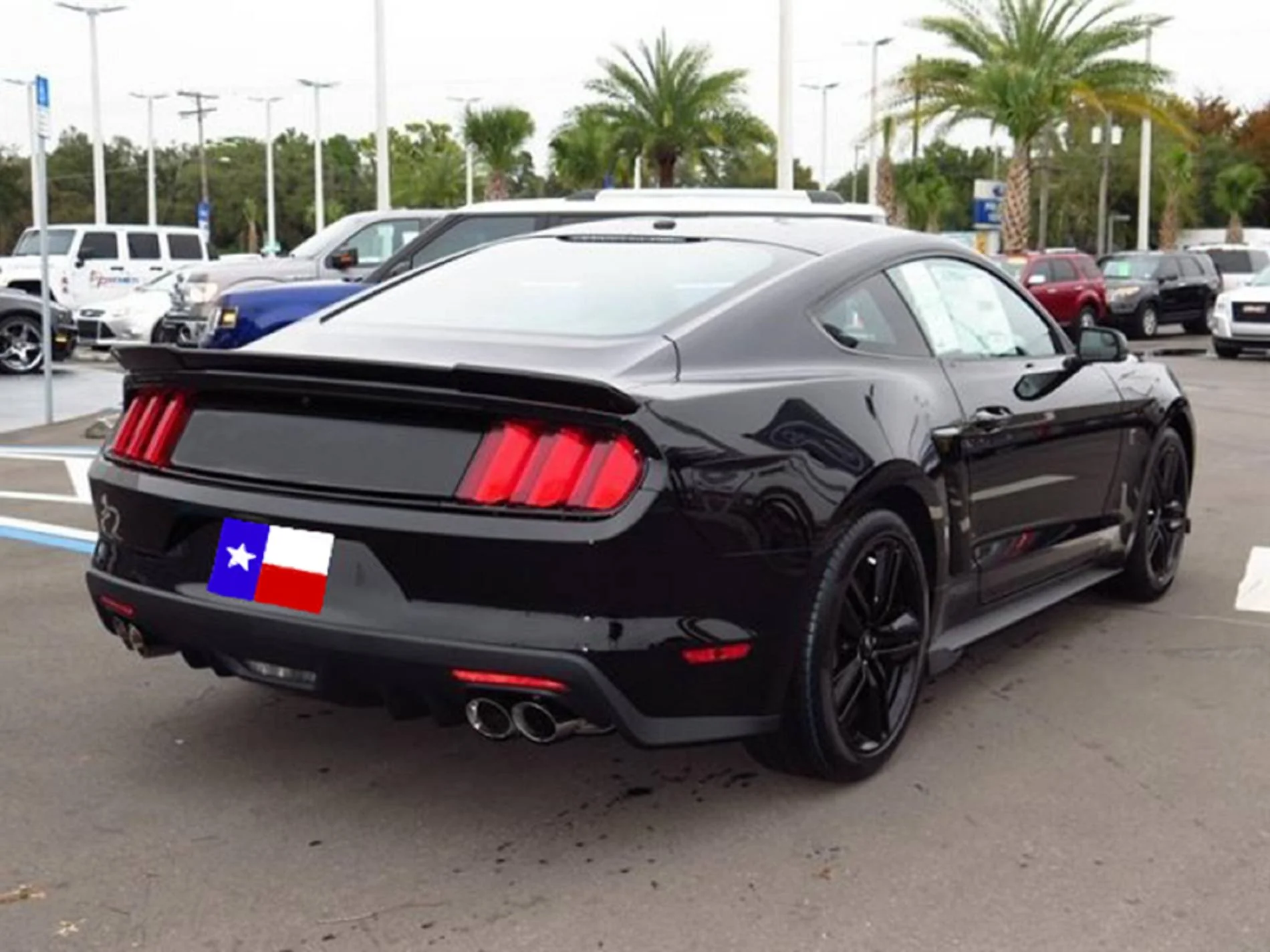 Ford Mustang Custom Lip No Light Spoiler (2015-2023)